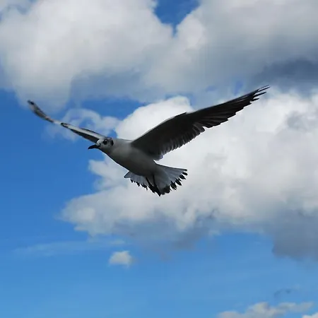 Zur Duene Apartment Trassenheide